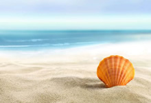 苏格兰勉强晋级铁血奋战再次谱写传奇