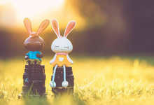 瑞典球员正式加盟德甲联赛，引发关注