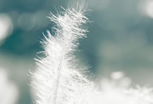 篮球对阵赛中能看到硬仗