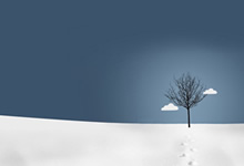 火箭主场告负，遭遇赛季首败