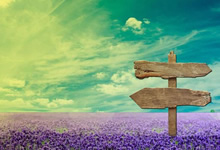 火箭主场告负，遭遇赛季首败