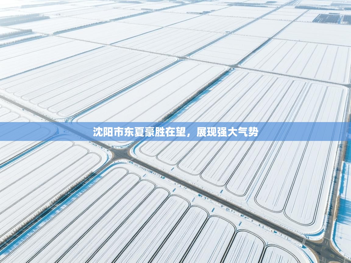 沈阳市东夏豪胜在望，展现强大气势